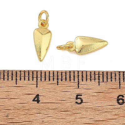 Brass Charms KK-F941-26G-1