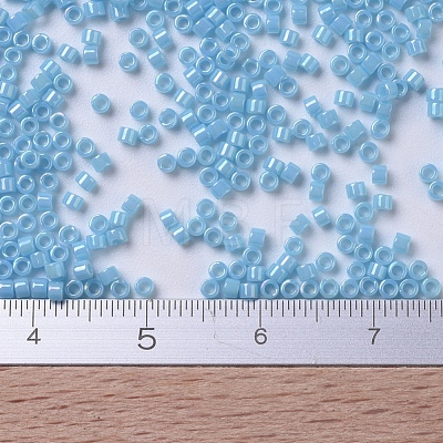 MIYUKI Delica Beads X-SEED-J020-DB0215-1