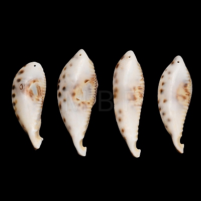 Natural Shell Big Pendants SH-CBA93AD-18-1