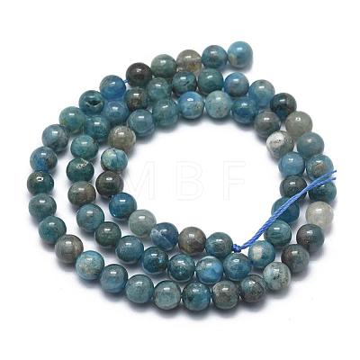 Natural Apatite Beads Strands G-I254-08D-1
