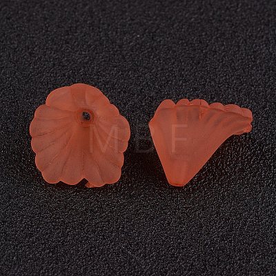 Transparent Acrylic Beads LS-PL622-C12-1