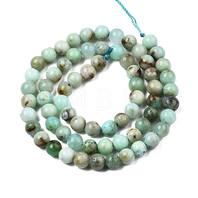 Natural Chrysoprase Beads Strands G-S333-6mm-016-1