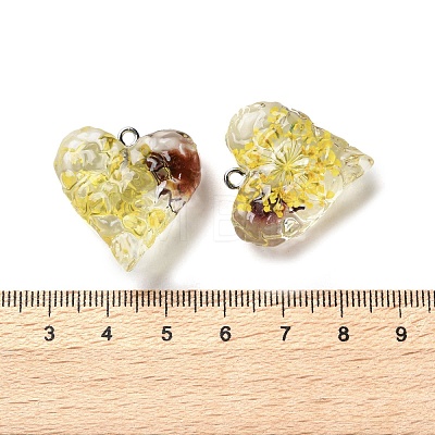 Inner Dried Flower Transparent Resin Pendants RESI-A043-03B-1