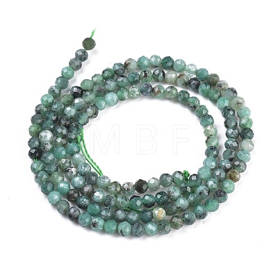 Natural Emerald Quartz Beads Strands G-R475-022B-1