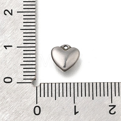 304 Stainless Steel Charms STAS-C119-16P-1