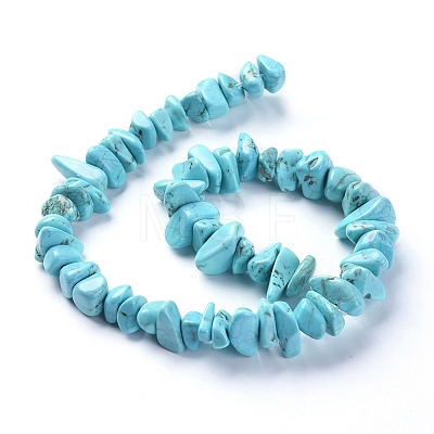 Natural Magnesite Beads Strands TURQ-G152-C01-1