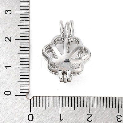 Alloy Bead Cage Pendants FIND-M012-01I-P-1