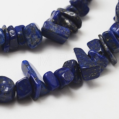 Natural Lapis Lazuli Beads Strands G-F328-29-1