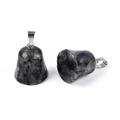 Natural Labradorite Pendants G-N349-15P-02-1