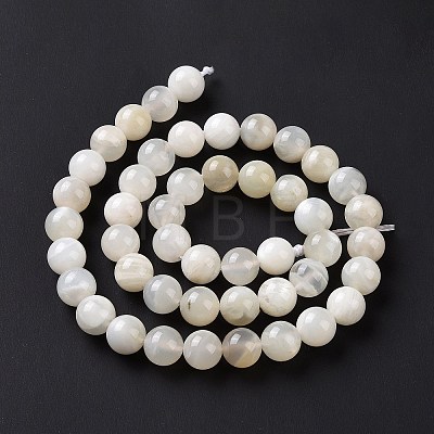 Natural White Moonstone Beads Strands G-F674-08-8mm-01-1