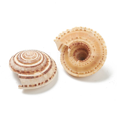Natural Shell Beads BSHE-H015-01-1