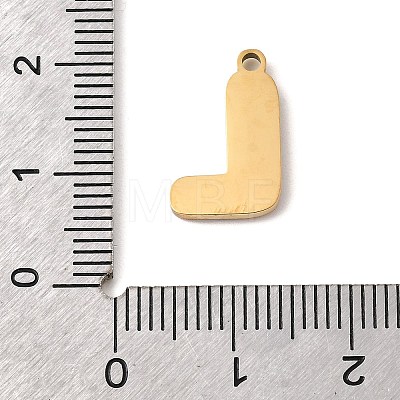 304 Stainless Steel Pendants STAS-K297-09L-G-1