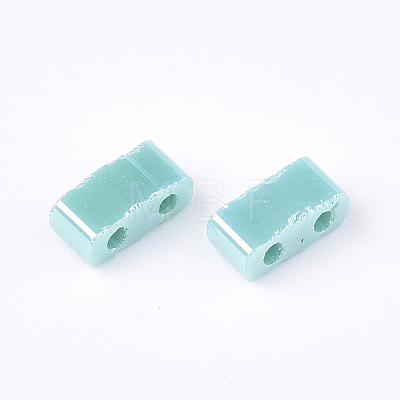 2-Hole Opaque Glass Seed Beads SEED-S023-06E-1