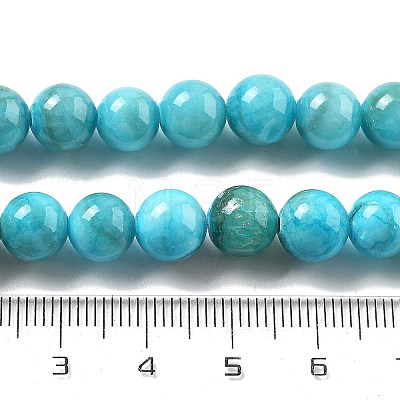 Natural Persian Jade Beads Strands G-A255-A02-02H-1