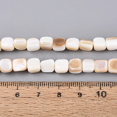 Natural Freshwater Shell Beads Strands BSHE-T014-51A-1