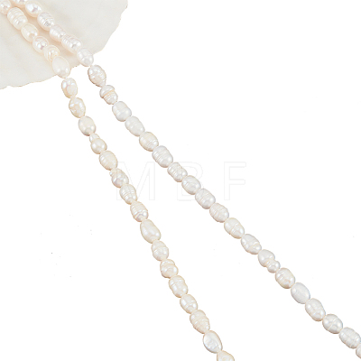  2 Strands 2 Styles Natural Cultured Freshwater Pearl Beads Strands PEAR-NB0002-07-1