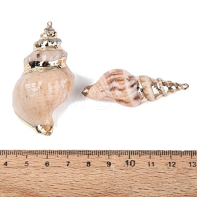 Electroplate Natural Sea Shell Big Pendants SSHEL-Q100-24KCG-1