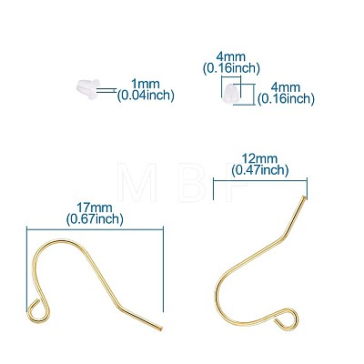 Iron Earring Hooks IFIN-TA0001-21-1