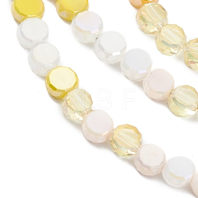 Gradient Color Electroplate Glass Bead Strands GLAA-E042-03B-1