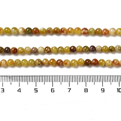 Natural Serpentine Beads Strands G-H298-A10-01-1