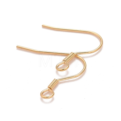 304 Stainless Steel Earrings Hooks X-STAS-P227-06G-1