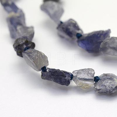 Rough Raw Natural Kyanite/Cyanite/Disthene Beads Strands G-K202-15-1