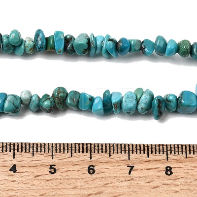 Natural HuBei Turquoise Bead Strands G-H345-A01-06-1