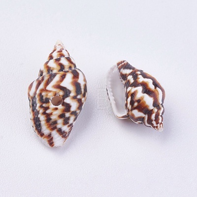 Shell Beads BSHE-P026-36-1