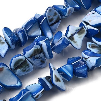 Natural Trochid Shell/Trochus Shell Beads Strands SHEL-B003-02G-1