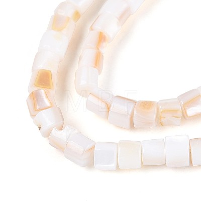 Natural Freshwater Shell Beads Strands SHEL-N027-09A-1