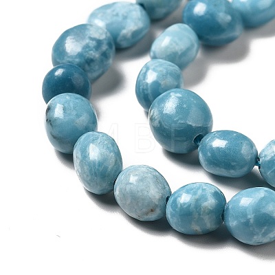 Natural Gemstone Beads Strands G-F730-05A-1