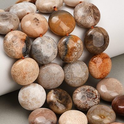 Natural Fossil Coral Beads Strands GG-CBA362F-02-1