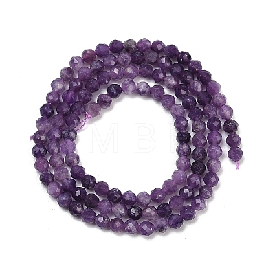 Natural Lepidolite/Purple Mica Stone Beads Strands G-C009-A26-1