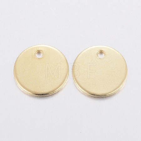 304 Stainless Steel Charms STAS-H436-66-10mm-1