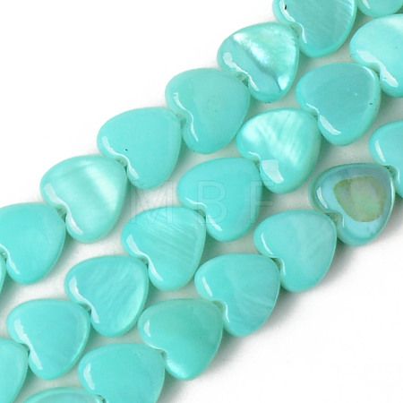 Spray Painted Natural Freshwater Shell Beads Strands X-SHEL-N026-69C-1