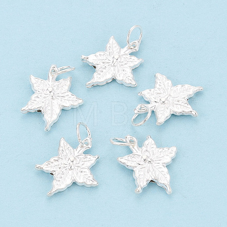925 Sterling Silver Pendants STER-T009-07S-1