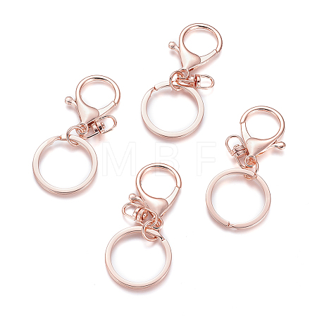 Iron Alloy Lobster Claw Clasp Keychain X-KEYC-D016-RG-1