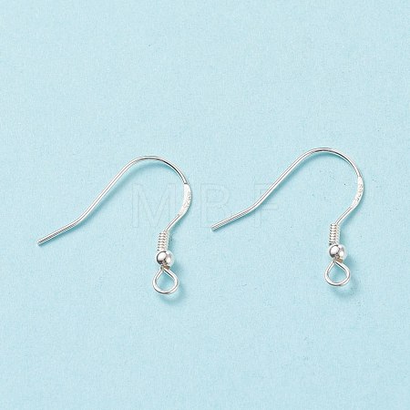 925 Sterling Silver Earring Hooks STER-G011-16-1