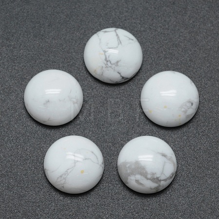 Natural Howlite Cabochons G-P393-R32-12mm-1