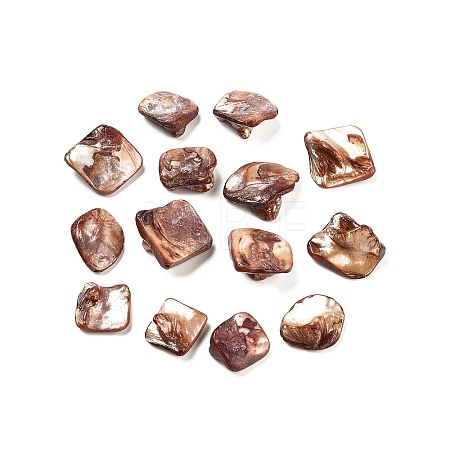 Natural Freshwater Shell Beads BSHE-S028-3-1