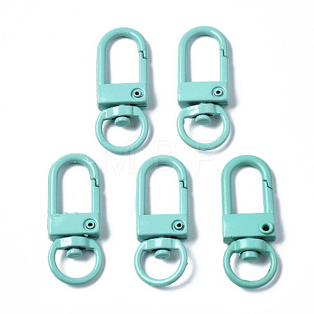 Spray Painted Eco-Friendly Alloy Swivel Snap Hooks Clasps PALLOY-T080-02D-NR-1