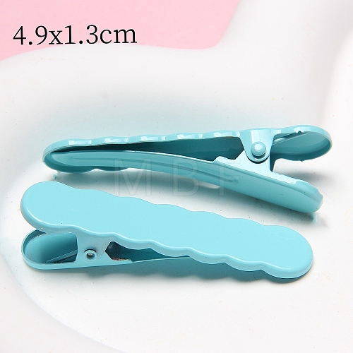 Resin Alligator Hair Clips PW-WG54BEF-04-1