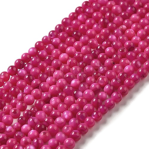 Natural Freshwater Shell Beads Strands SHEL-H003-03F-1