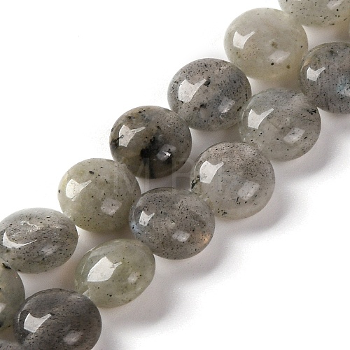 Natural Labradorite Beads Strands G-T047-A18-01-1