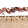 Dyed Natural Freshwater Shell Beads Strands SHEL-P016-01G-4