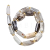 Natural Botswana Agate Beads Strands G-D353-A11-3