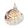 Natural Shell Copper Wire Wrapped Pendants PALLOY-TA00078-03-2