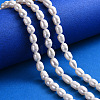 Natural Cultured Freshwater Pearl Beads Strands PEAR-N012-06D-5