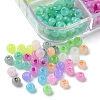 576Pcs 12 Colors Glass Seed Beads SEED-FS0001-25-3