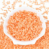 Glass Bugle Beads X-SEED-N007-28L-2